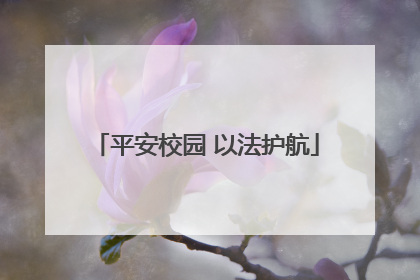 平安校园 以法护航