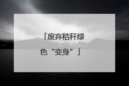 废弃秸秆绿色“变身”