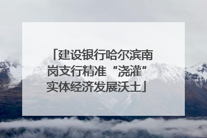 建设银行哈尔滨南岗支行精准“浇灌”实体经济发展沃土