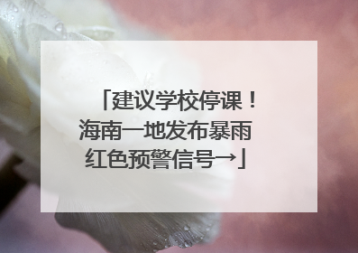 建议学校停课！海南一地发布暴雨红色预警信号→