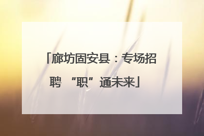 廊坊固安县：专场招聘 “职”通未来