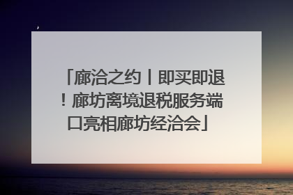 廊洽之约丨即买即退！廊坊离境退税服务端口亮相廊坊经洽会