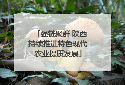 强链聚群 陕西持续推进特色现代农业提质发展