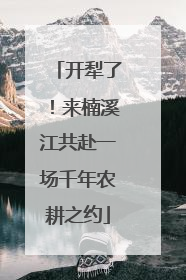 开犁了！来楠溪江共赴一场千年农耕之约