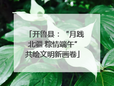 开鲁县：“月践北疆 粽情端午”共绘文明新画卷
