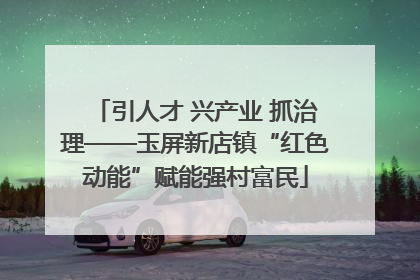 引人才 兴产业 抓治理——玉屏新店镇“红色动能”赋能强村富民