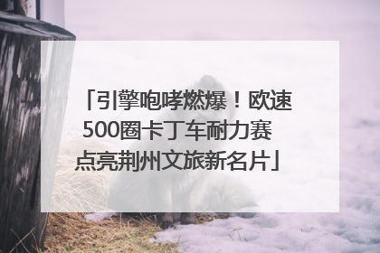引擎咆哮燃爆！欧速500圈卡丁车耐力赛点亮荆州文旅新名片