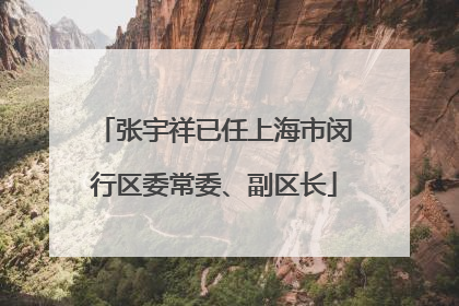张宇祥已任上海市闵行区委常委、副区长