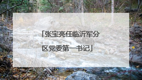 张宝亮任临沂军分区党委第一书记