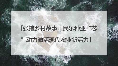 张掖乡村故事｜民乐种业“芯”动力激活现代农业新活力