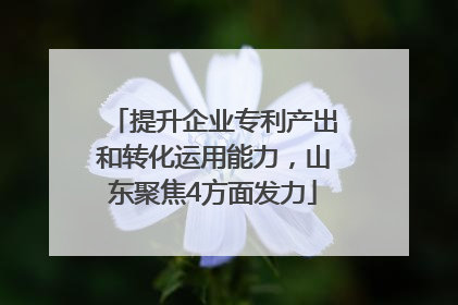 提升企业专利产出和转化运用能力，山东聚焦4方面发力