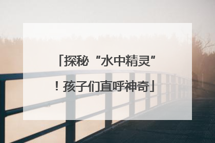 探秘“水中精灵”！孩子们直呼神奇