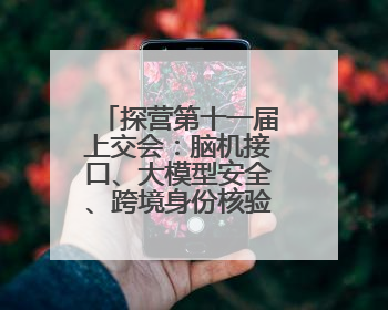 探营第十一届上交会：脑机接口、大模型安全、跨境身份核验等新技术将悉数亮相