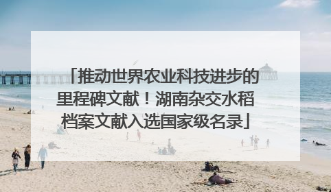 推动世界农业科技进步的里程碑文献！湖南杂交水稻档案文献入选国家级名录