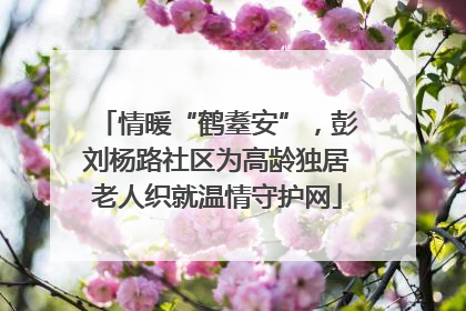 情暖“鹤耋安”，彭刘杨路社区为高龄独居老人织就温情守护网