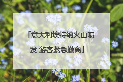 意大利埃特纳火山喷发 游客紧急撤离