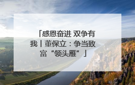 感恩奋进 双争有我丨董保立：争当致富“领头雁”