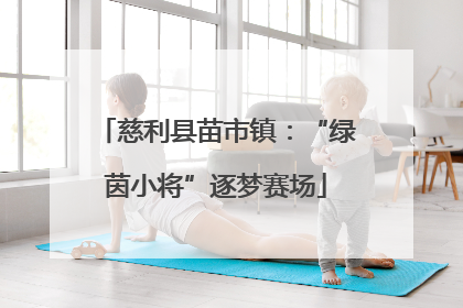 慈利县苗市镇：“绿茵小将”逐梦赛场