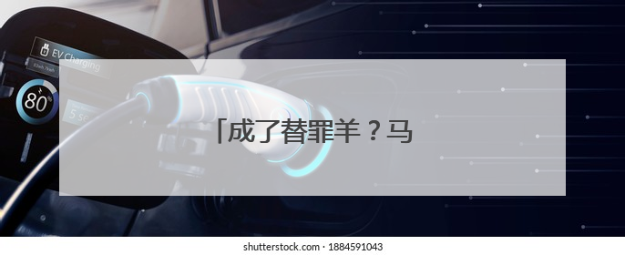 成了替罪羊？马斯克最新发声！