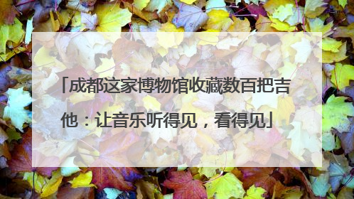 成都这家博物馆收藏数百把吉他：让音乐听得见，看得见