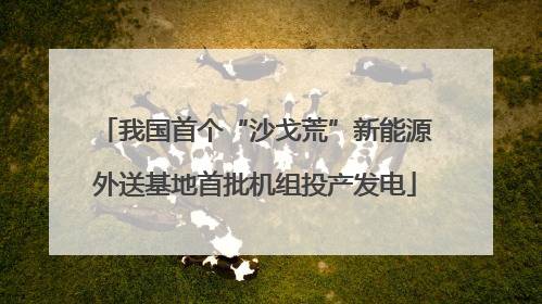 我国首个“沙戈荒”新能源外送基地首批机组投产发电