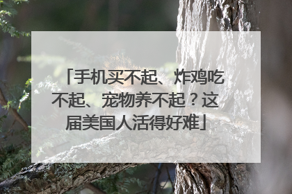 手机买不起、炸鸡吃不起、宠物养不起？这届美国人活得好难