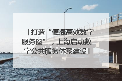 打造“便捷高效数字服务圈”，上海启动数字公共服务体系建设