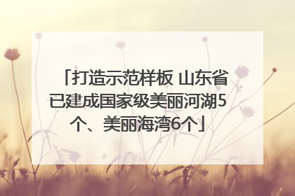 打造示范样板 山东省已建成国家级美丽河湖5个、美丽海湾6个