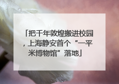 把千年敦煌搬进校园，上海静安首个“一平米博物馆”落地