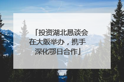 投资湖北恳谈会在大阪举办，携手深化鄂日合作