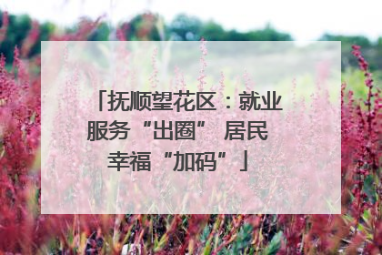 抚顺望花区：就业服务“出圈” 居民幸福“加码”