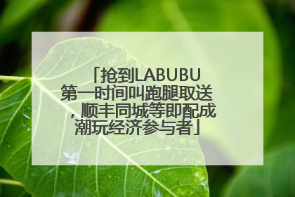 抢到LABUBU第一时间叫跑腿取送，顺丰同城等即配成潮玩经济参与者