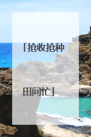 抢收抢种田间忙