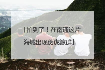 拍到了！在南通这片海域出现伪虎鲸群