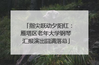 指尖跃动夕阳红：雁塔区老年大学钢琴汇报演出圆满落幕