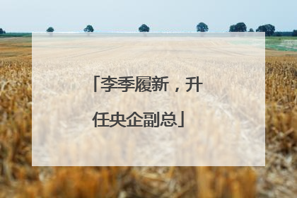 李季履新，升任央企副总