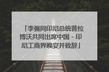 李强同印尼总统普拉博沃共同出席中国－印尼工商界晚宴并致辞