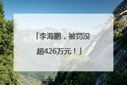 李海鹏，被罚没超426万元！