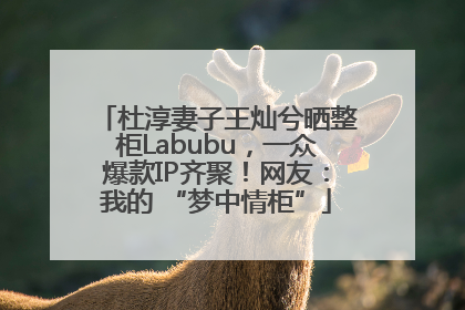 杜淳妻子王灿兮晒整柜Labubu，一众爆款IP齐聚！网友：我的 “梦中情柜”