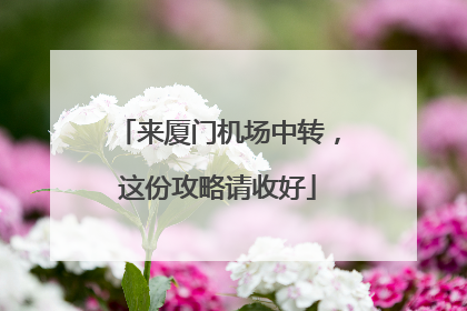 来厦门机场中转，这份攻略请收好
