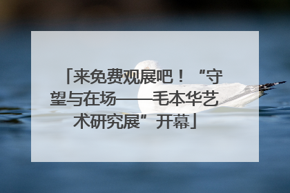 来免费观展吧！“守望与在场——毛本华艺术研究展”开幕