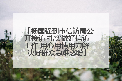 杨国强到市信访局公开接访 扎实做好信访工作 用心用情用力解决好群众急难愁盼