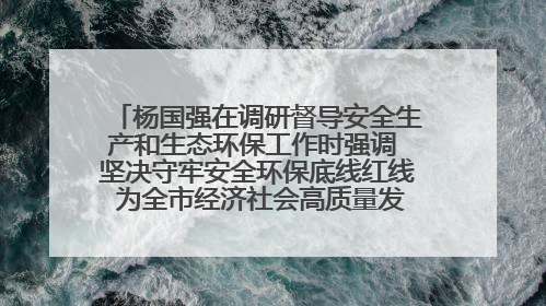 杨国强在调研督导安全生产和生态环保工作时强调 坚决守牢安全环保底线红线 为全市经济社会高质量发展提供坚强保障