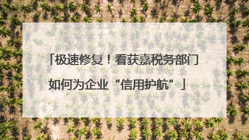 极速修复！看获嘉税务部门如何为企业“信用护航”