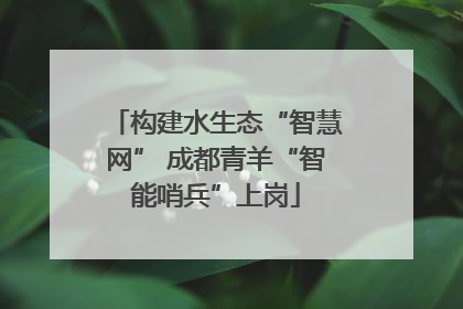 构建水生态“智慧网” 成都青羊“智能哨兵”上岗