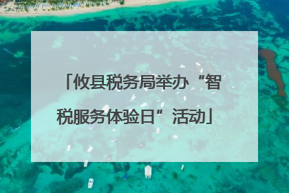 攸县税务局举办“智税服务体验日”活动