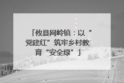 攸县网岭镇：以“党建红”筑牢乡村教育“安全绿”