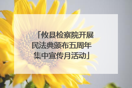 攸县检察院开展民法典颁布五周年集中宣传月活动