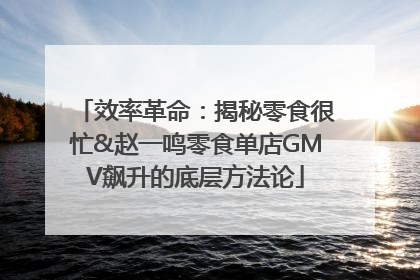 效率革命：揭秘零食很忙&赵一鸣零食单店GMV飙升的底层方法论