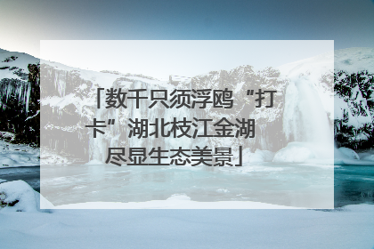 数千只须浮鸥“打卡”湖北枝江金湖 尽显生态美景